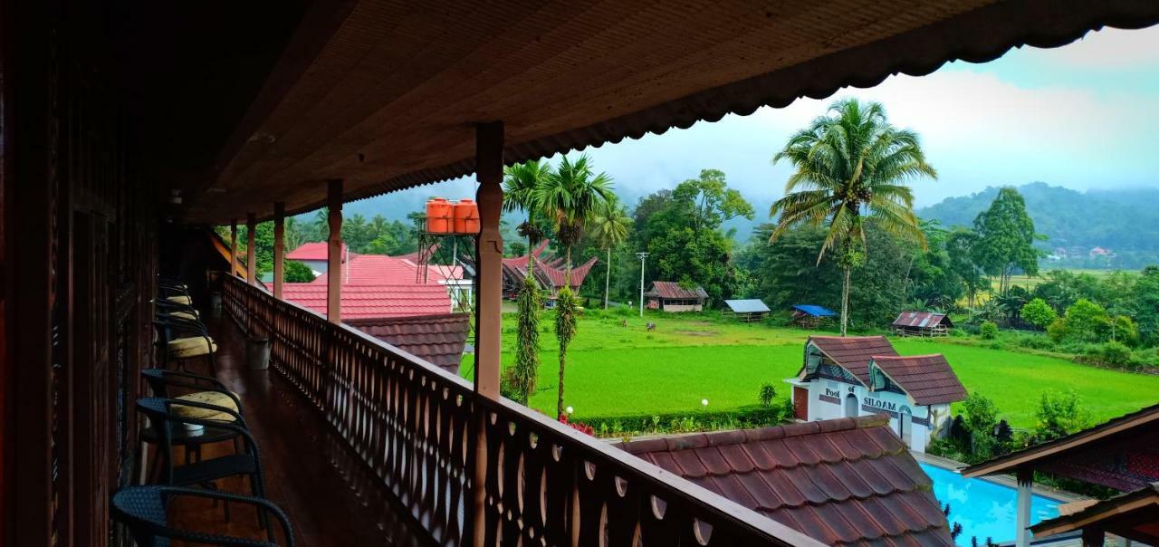 Toraja Torsina Hotel Rantepao Exterior foto