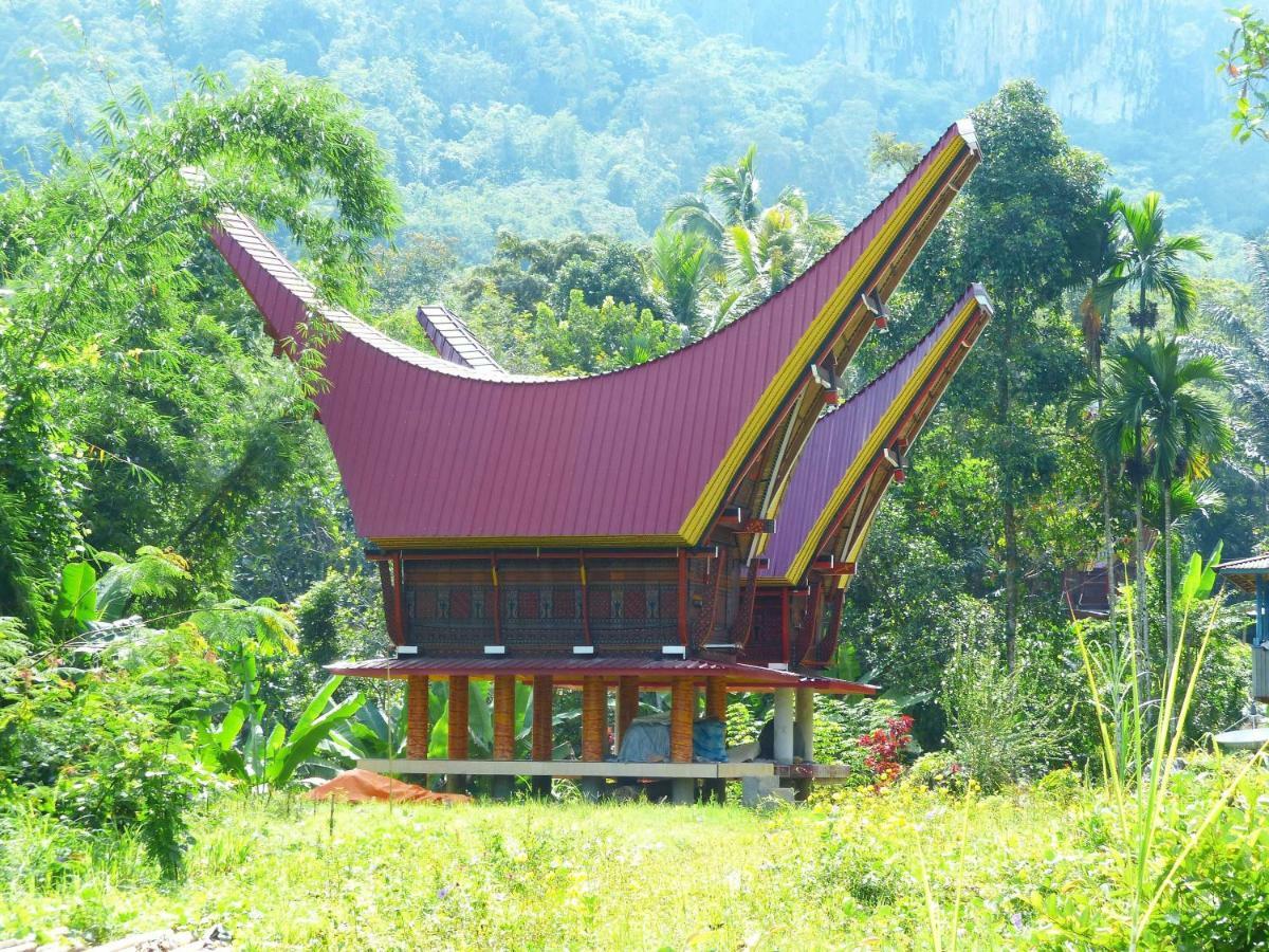 Toraja Torsina Hotel Rantepao Exterior foto